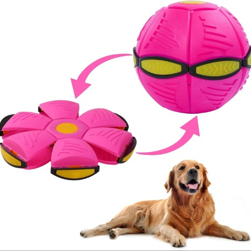 Flat-to-Ball Magic Toy